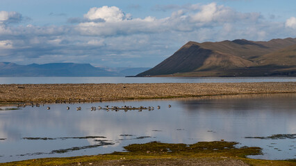 svalbard north pole longyearbyen reflection