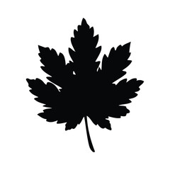 Obraz premium Premium Maple Leaf Vector Icon – AI-Generated Nature Clipart & Leaf Design Illustration.