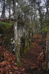 Fototapeta premium Sentier National St Mathieu Du Parc