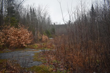 Fototapeta premium Sentier National St Mathieu Du Parc