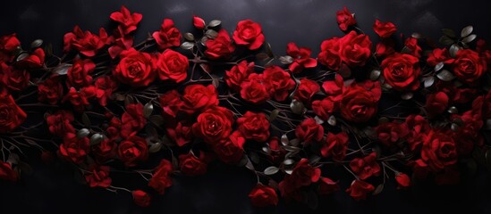 Elegant red rose bush with petals on a dark background perfect for beauty industry holiday themes and expressions of love and romance.