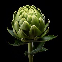 Obraz premium Fresh Artichoke Highlighted Elegantly on a Neutral Plain Background 