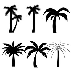 Black palm trees set isolated on white background.