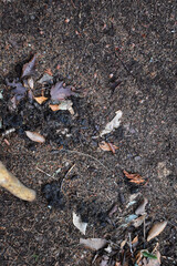 Obraz premium Sentier National St Mathieu Du Parc