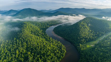 Tropical Jungle Panorama in Southeast Asia