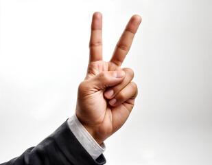Peace Sign Man Hand