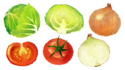 野菜のイラスト　キャベツ　トマト　玉ねぎ　背景なし