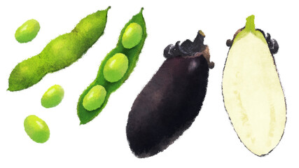 夏野菜　枝豆と茄子のイラスト　背景なし