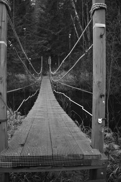 Sentier National St Mathieu Du Parc - n&b