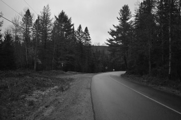 Sentier National St Mathieu Du Parc - n&b