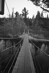 Obraz premium Sentier National St Mathieu Du Parc - n&b