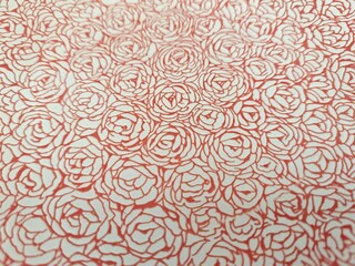 Assorted orange roses print 
