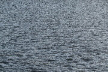 This is sea water in sunny autumn day.