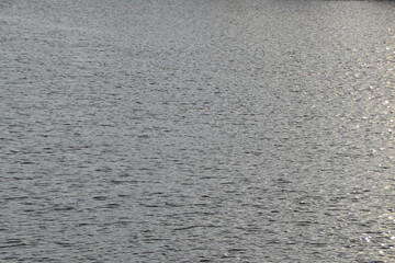 This is sea water in sunny autumn day.