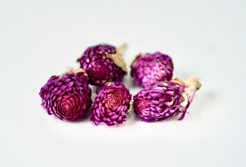 Five piece of dried globe amaranth or gomphrena globosa flowers for tea ingredients isolated on horizontal white background.