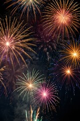 Fototapeta premium fireworks in the night sky