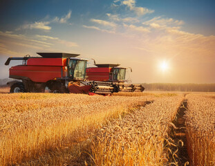 Obraz premium 農業イメージ