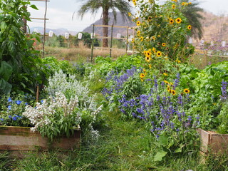 garden, flowers, flower, nature, summer, plant, spring, tree, grass, flora, park, landscape, pink, blossom, plants, house, sky, gardening, leaves, floral, bloom, red, building, outdoor, leaf