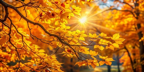 Radiant Golden Autumn Leaves with Sunlight Filtering Through, Capturing the Essence of Fall in a Vibrant and Colorful Background Scene for Nature Enthusiasts and Photographers