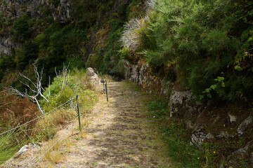 on the trail to Curral das Freiras (The Valley of the Nuns), Madeira, Portugal 