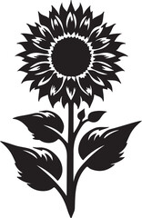 Sunflower silhouette vector image