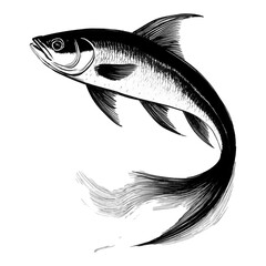 魚の精巧なスケッチ風イラスト　透過背景の切り抜き