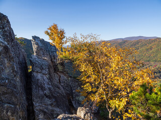 Rocky summit of Seneca Rocks, yellow tree and fall colored mountain range, West Virginia, USA