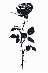 Obraz premium A black rose with thorns on the stem