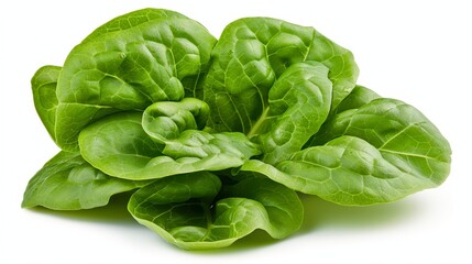 Fototapeta premium Fresh, vibrant green lettuce leaves arranged artistically on a white background, ideal for promoting healthy eating, salad recipes, or organic food products in marketing materials,