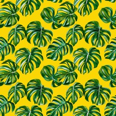 Fototapeta premium Monstera Leaves pattern
