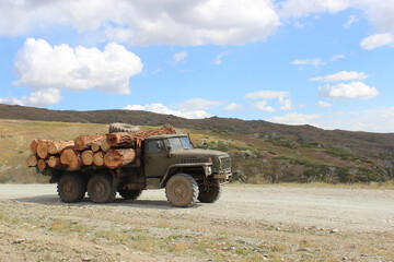 Heavy logging truck driving on mountain road in autumn season with cargo load of fresh cut wood...