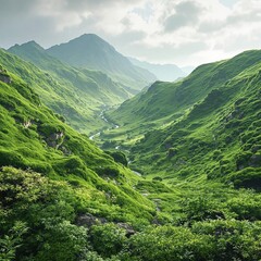 Naklejka premium A breathtaking green valley surrounded by rolling hills and a carpet of soft green moss and ferns, hills, ferns, valley, green background