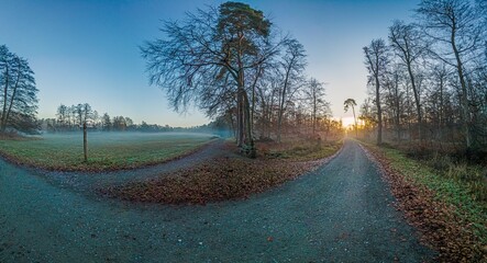 Frosty sunrise landscape with mist, trees, and open fields, capturing tranquil nature and serene vibes