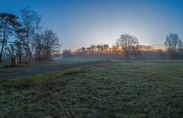 Frosty sunrise landscape with mist, trees, and open fields, capturing tranquil nature and serene vibes