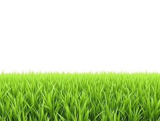 Fototapeta premium dense carpet of emerald green blades swaying gently in breeze, nature photography, serene atmosphere, peaceful ambiance, outdoor scenery