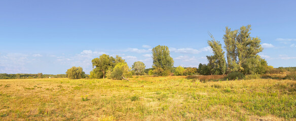 Horizontal composition, landscape, last month of summer or beginning of autumn, already yellowed grass and beginning to turn yellow leaves on trees against the background of a serene blue sky