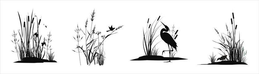 Swamp plants thickets - grass, reed, cane, cattail, umbrella rush,  marsh iris with a small bird, heron, duck, dragonflies. Set of monochrome silhouette landscape drawings isolated on white background