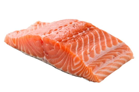 raw salmon fillet