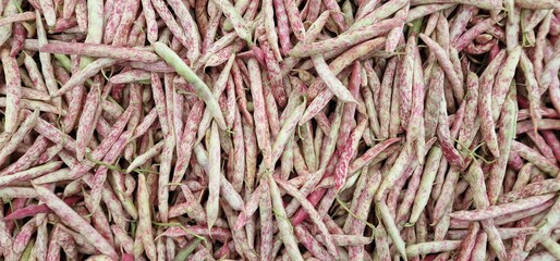 red green yellow beans laid out in a pile for sale in a vegetable market