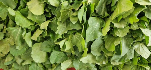 Lettuce leaves tied and placed in a pile for sale in a vegetable market