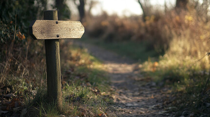 Wooden signpost along a quiet nature trail in the golden light of early evening