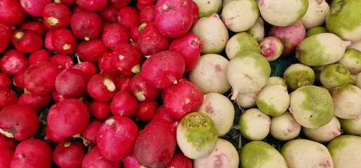 White and red radish round placed side by side offered for sale