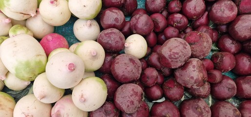 White and brown radish round placed side by side offered for sale
