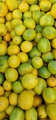 Lemons green and yellow some are ripe some not in a bunch