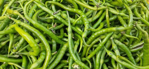 Pointed peppers elongated green in a large pile