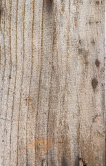 Fototapeta premium old texture