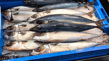 Fototapeta premium Saba on ice at a seafood restaurant