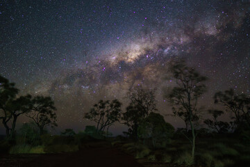 Astrophotography of the Milky Way with Trees