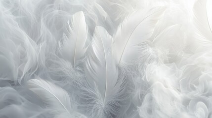 Obraz premium Soft White Feathers on Ethereal Background of Light Smoke