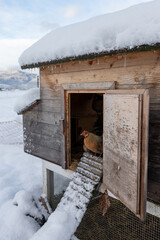 Chicken coop in the snow © Anja Broger